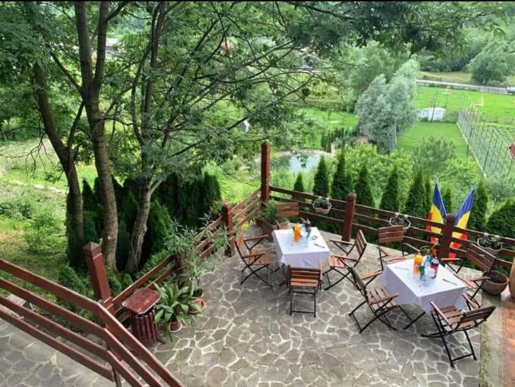 Doftana Apartaments Teşila Exterior foto