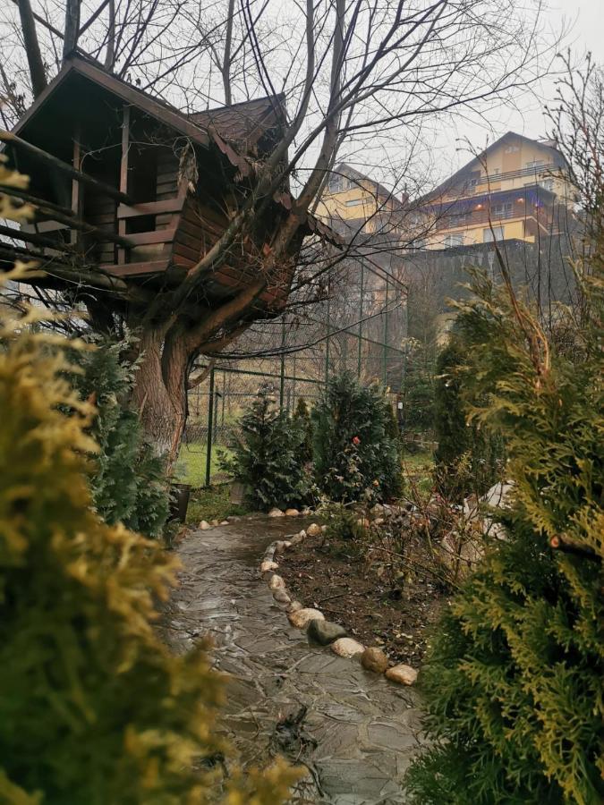 Doftana Apartaments Teşila Exterior foto