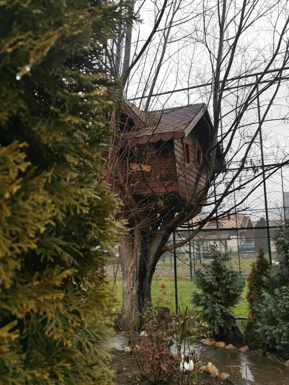 Doftana Apartaments Teşila Habitación foto