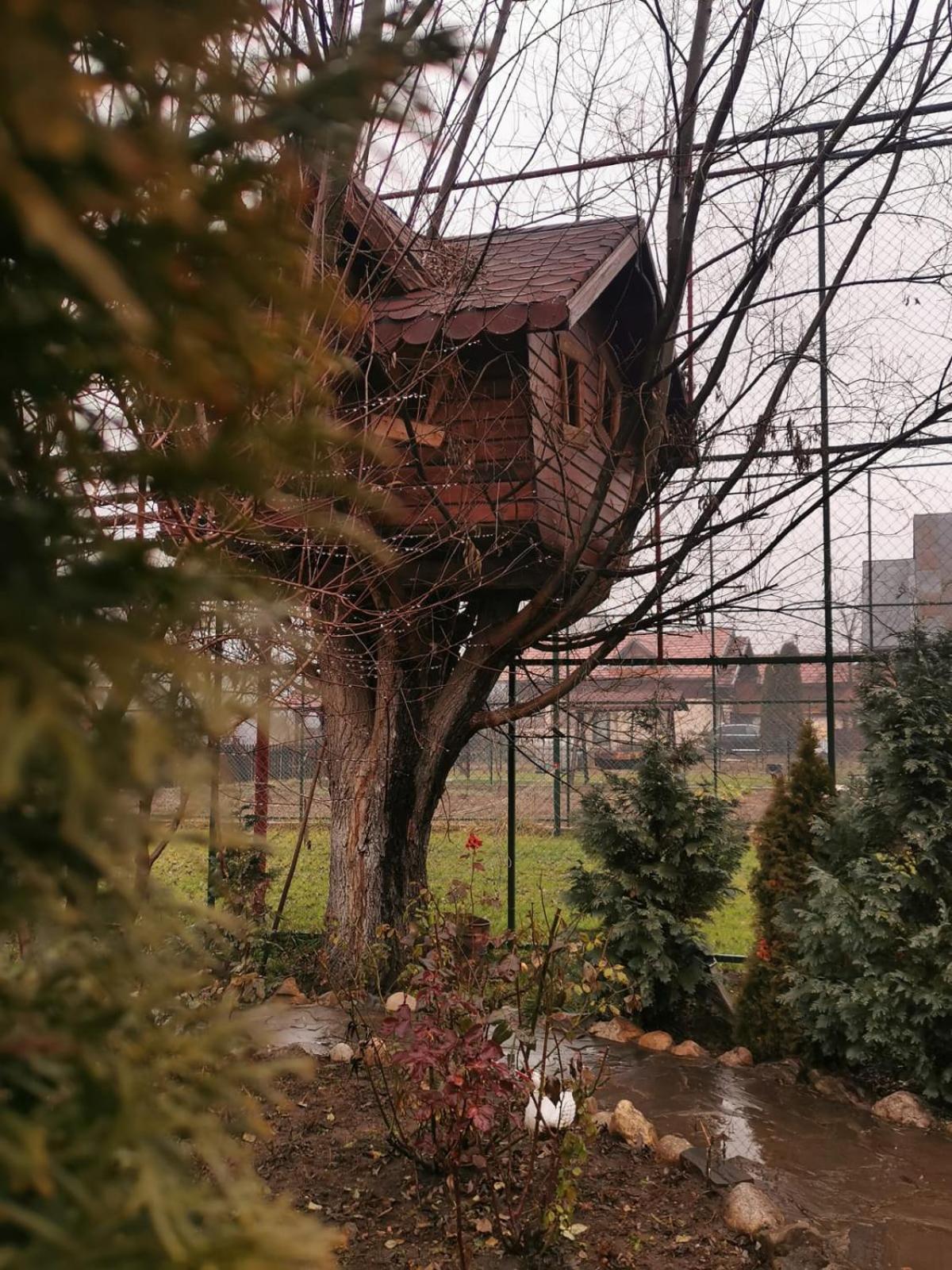 Doftana Apartaments Teşila Habitación foto