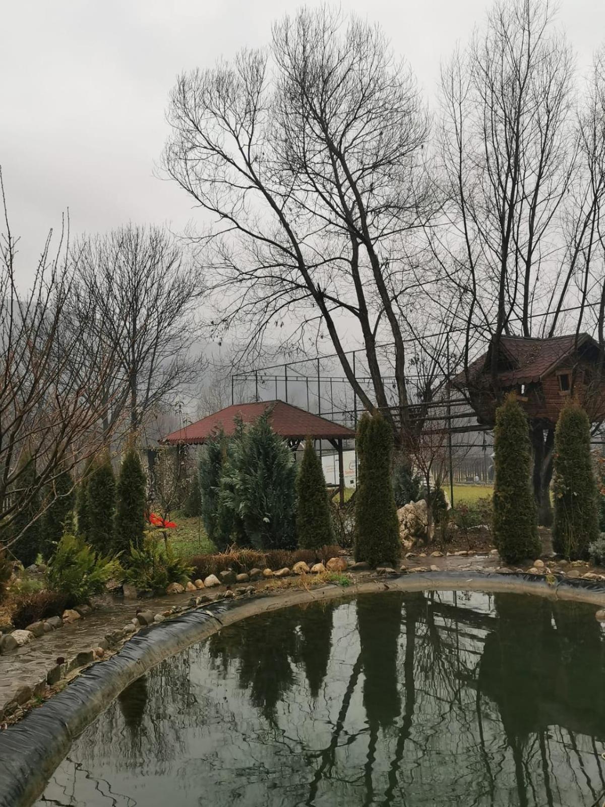 Doftana Apartaments Teşila Habitación foto